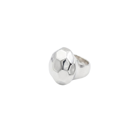 PURE NATURE METAL  TORTUGA